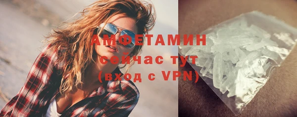 СК Ельня