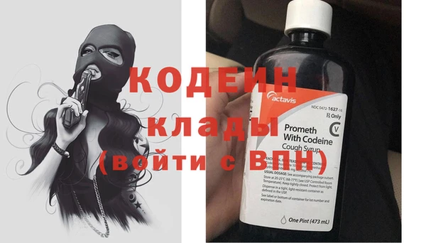 СК Ельня