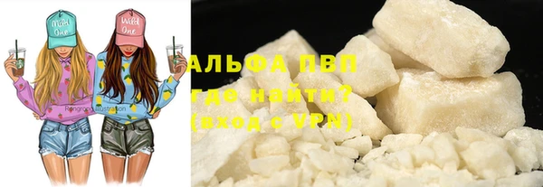 СК Ельня