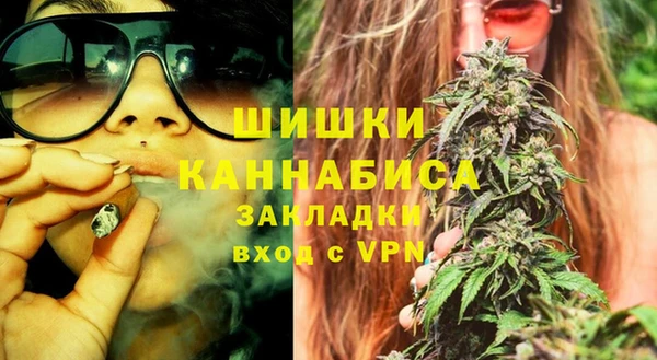 СК Ельня