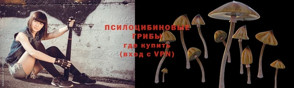 гашишное масло Заводоуковск