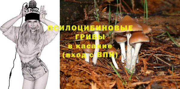 метадон Елабуга