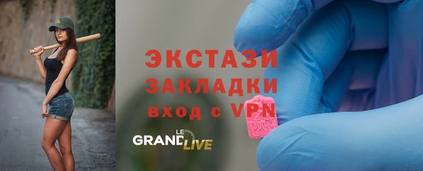 СК Ельня