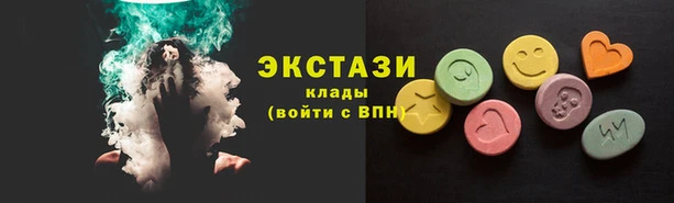 СК Ельня