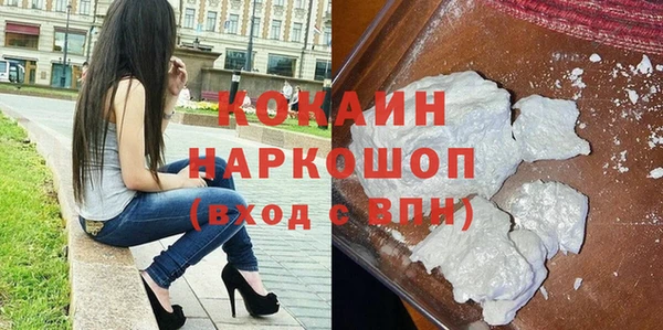 СК Ельня