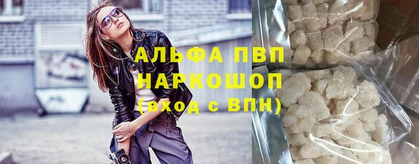 СК Ельня